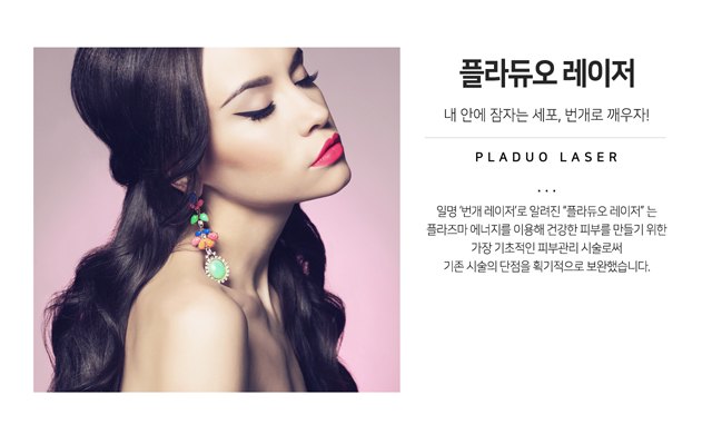플라듀오 레이저 공식 모델 안내